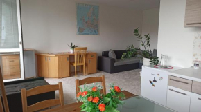 Apartment in a great location